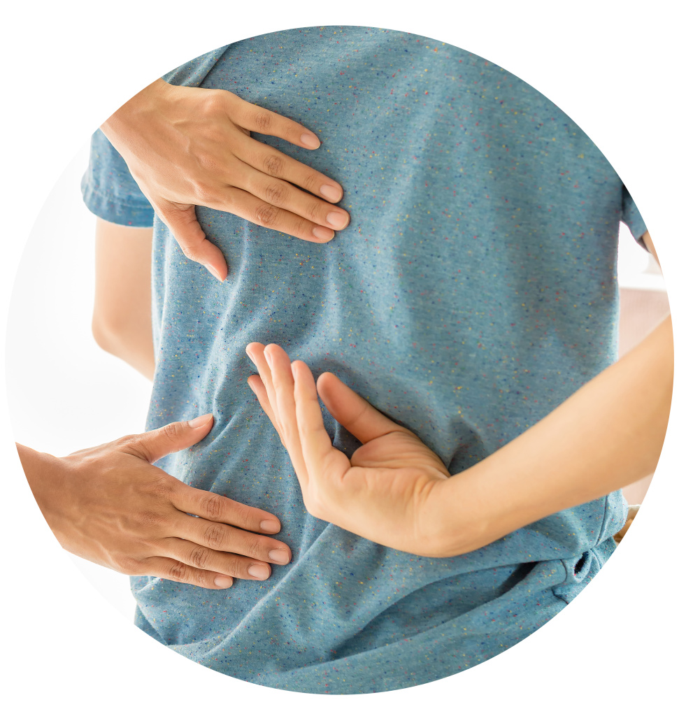 позвоночник.jpg