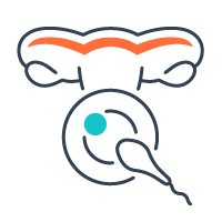 14.png