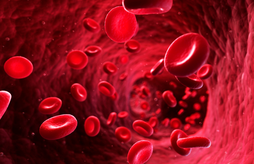 Биохимическое исследование крови